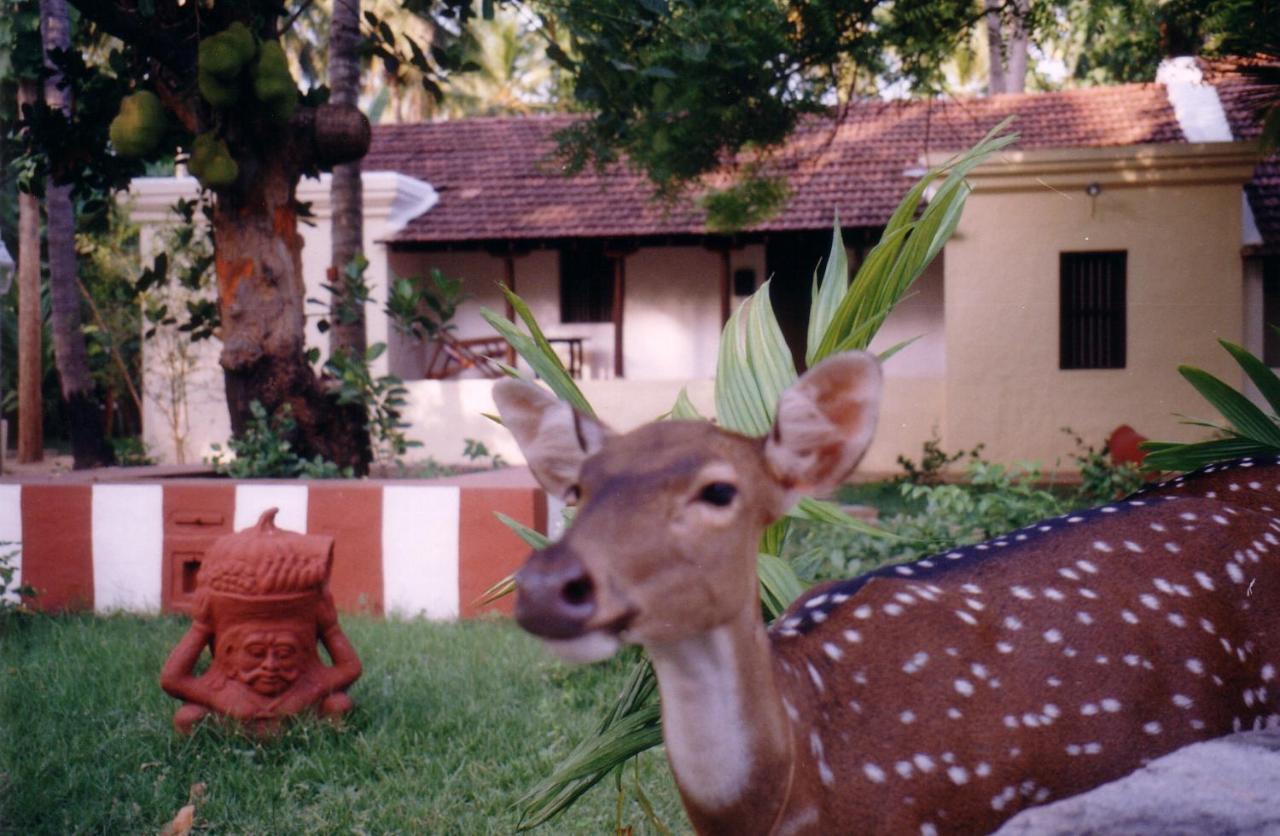 Indeco Hotels Swamimalai Kumbakonam Luaran gambar